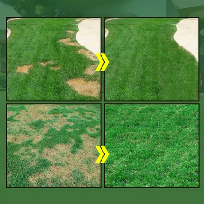 💧 Last Day 80% OFF 🌱 Lawn Sprayer + Hydro Seeding Growth Solution Kit